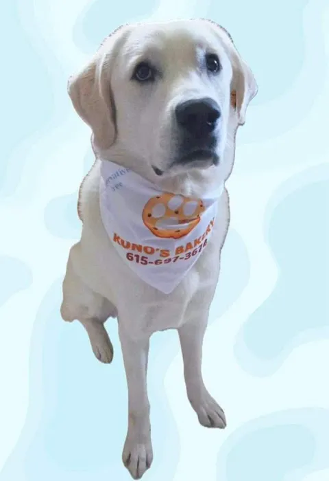 Kuno's Bakery Picture 7
