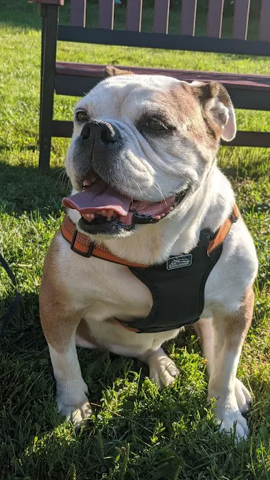 Nassau Veterinary Clinic Picture 1