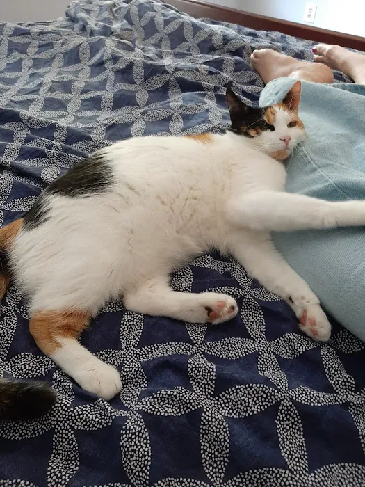 Nassau Veterinary Clinic Picture 6