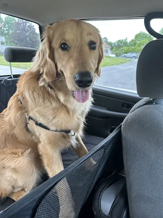 Nassau Veterinary Clinic Picture 9