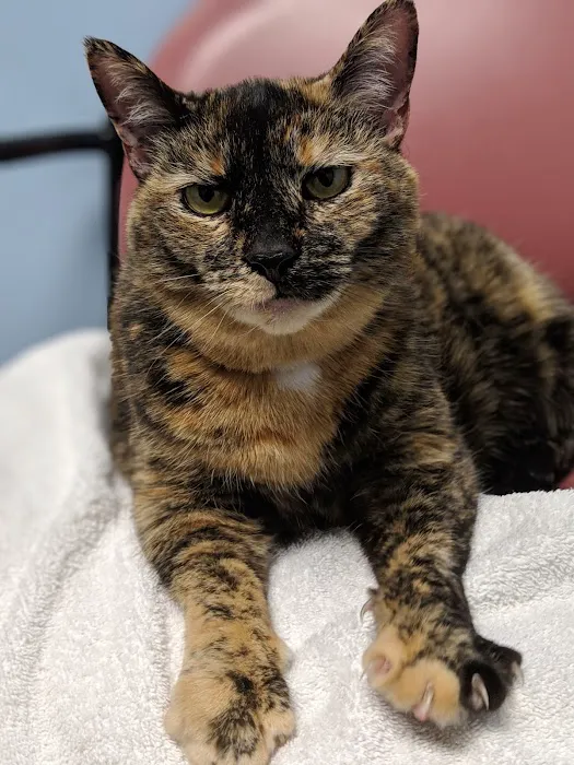 Nassau Veterinary Clinic Picture 10