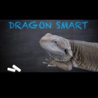 Dragon Smart ico