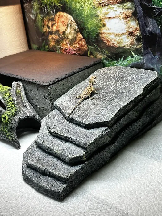 Dragon Smart Picture 8
