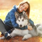 J&J Silver Husky Farm