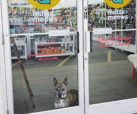 Mutts + Meows Natural Pet Market