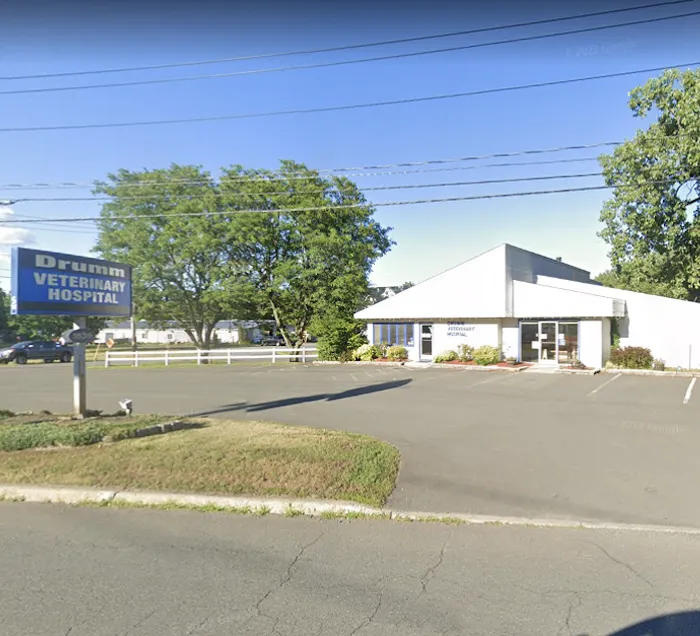Drumm Veterinary Hospital Picture 3