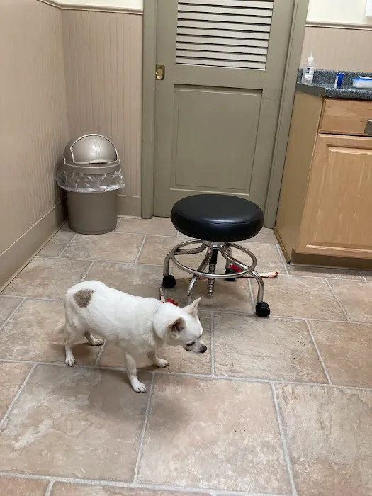 Drumm Veterinary Hospital Picture 8