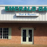 East Greenbush Animal Hospital ico