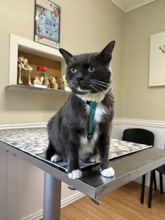Catskill Animal Hospital Picture 4