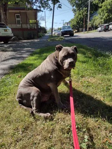 Catskill Animal Hospital Picture 9