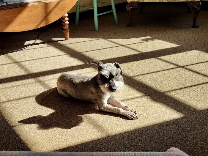 Catskill Animal Hospital Picture 7
