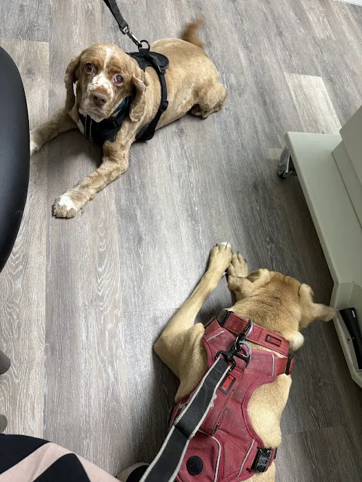 Forest Ridge Veterinary Hospital Picture 2