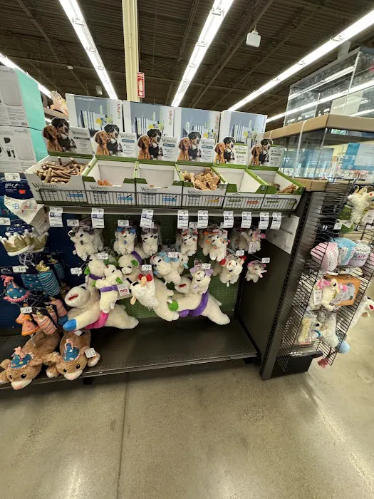 Petco Picture 10