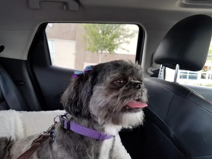 Petco Picture 8