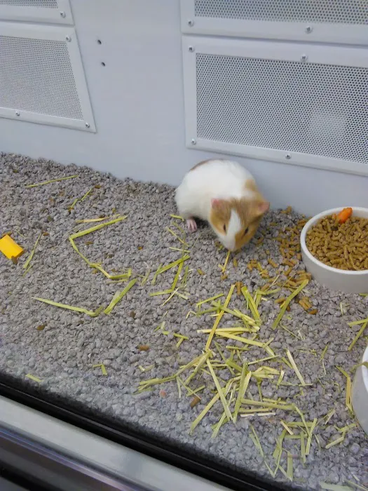 Petco Picture 6
