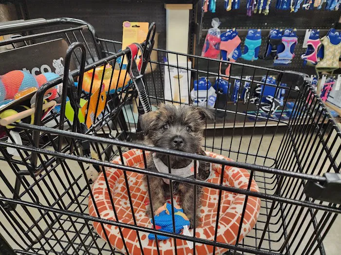 Petco Picture 2