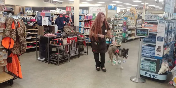Petco Picture 4