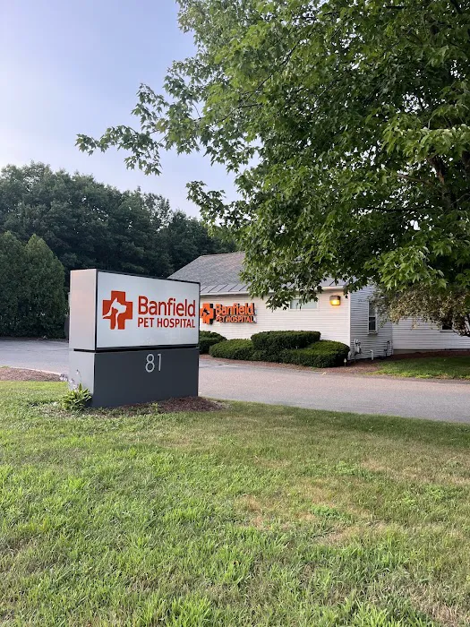Banfield Pet Hospital Picture 3
