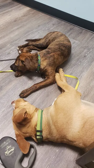 Banfield Pet Hospital Picture 8