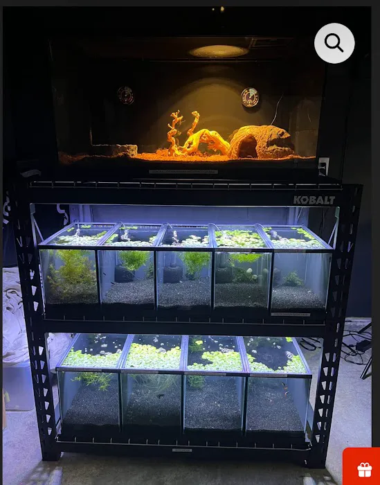 10 Gallon Fish Tanks Picture 2