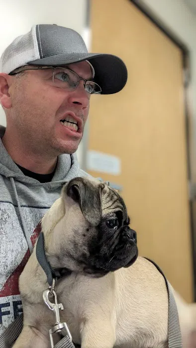 Mercy Animal Hospital: Kaas Richard E DVM Picture 5