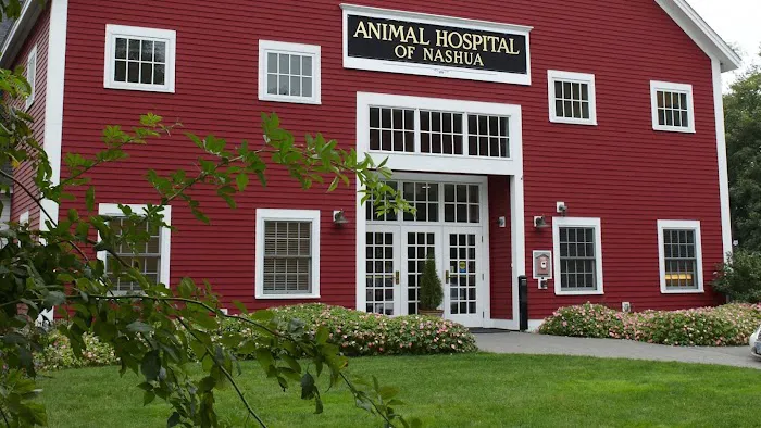 Animal Hospital of Nashua Picture 1