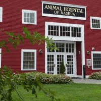 Animal Hospital of Nashua ico