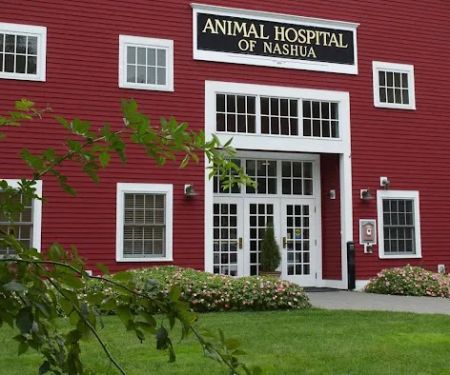 Animal Hospital of Nashua