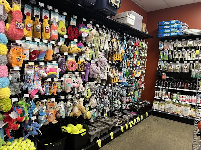 Petland Murfreesboro Picture 2