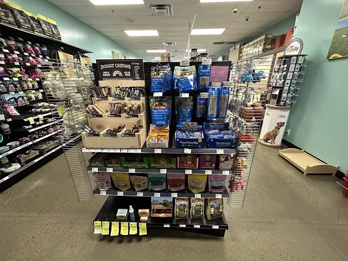 Petland Murfreesboro Picture 9