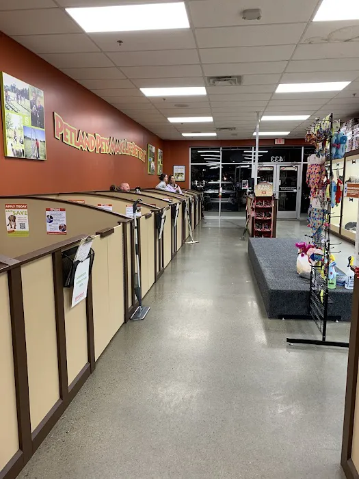 Petland Murfreesboro Picture 10