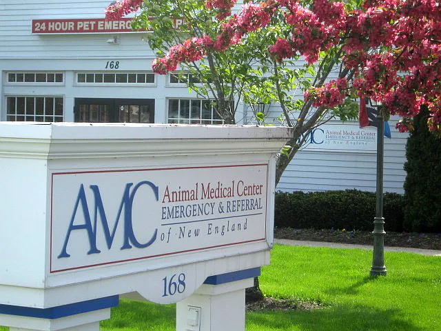 Animal Medical Center of New England Picture 4