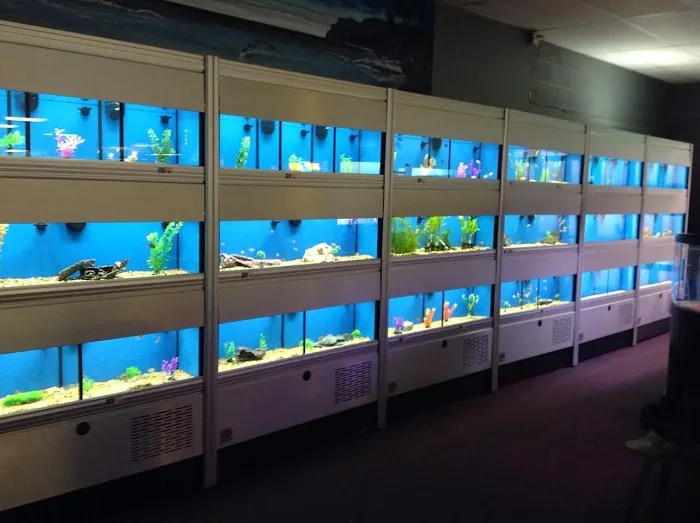 Animal City Pet center Picture 3