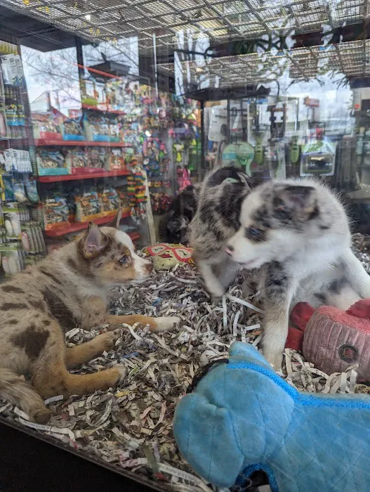 Animal City Pet center Picture 2