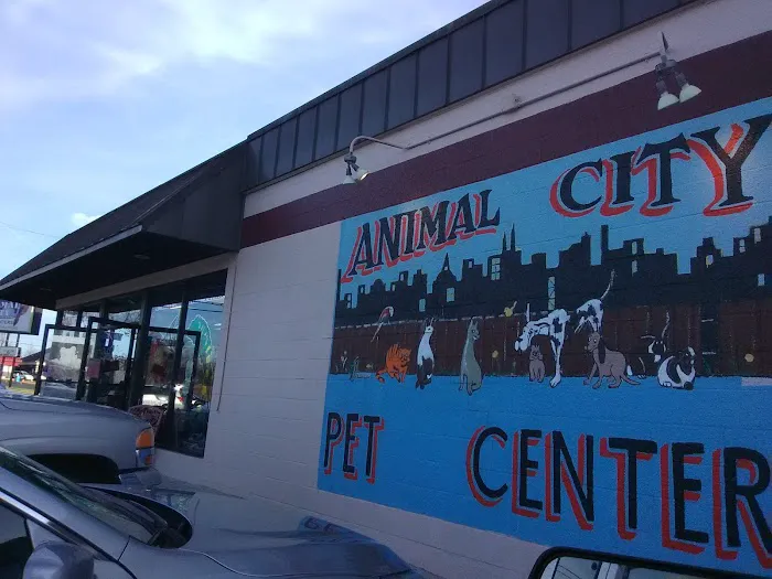 Animal City Pet center Picture 1