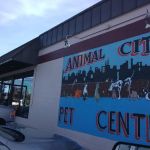 Animal City Pet center