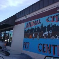 Animal City Pet center ico