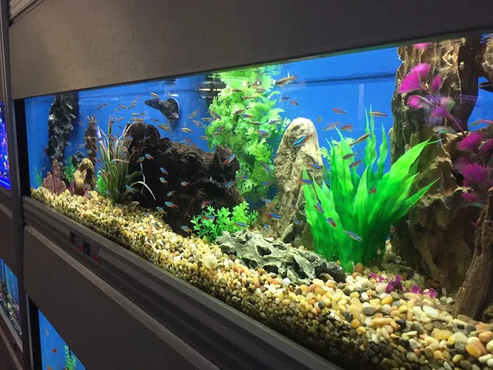 Animal City Pet center Picture 5