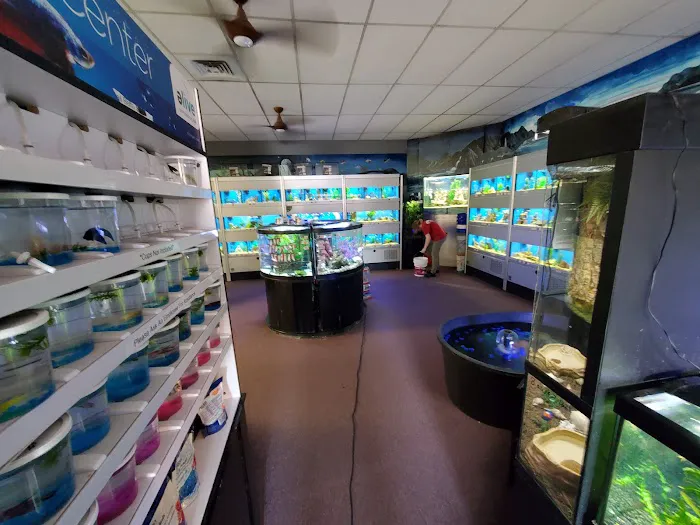 Animal City Pet center Picture 6