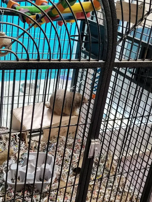 Animal City Pet center Picture 9