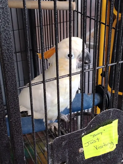Animal City Pet center Picture 8
