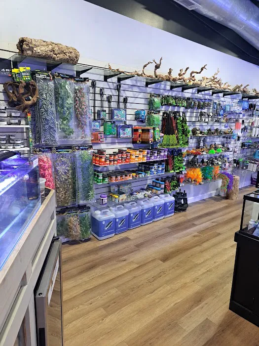 Emerald Bay Fish & Reptile Picture 6