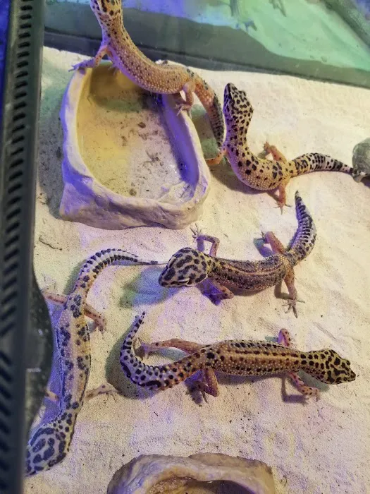 Emerald Bay Fish & Reptile Picture 10