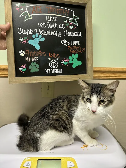 Clark Veterinary Hospital Picture 6
