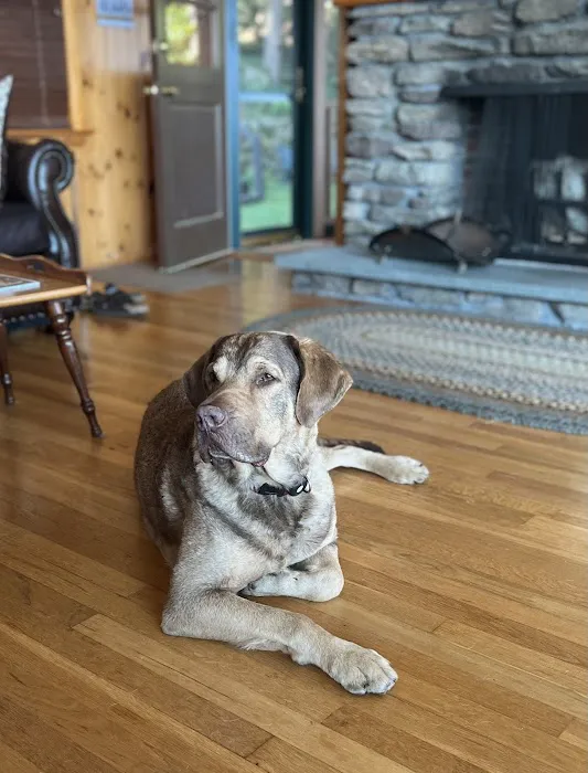 Clark Veterinary Hospital Picture 9
