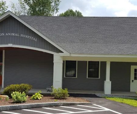 Hopkinton Animal Hospital