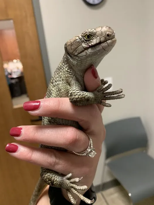 Hopkinton Animal Hospital Picture 4