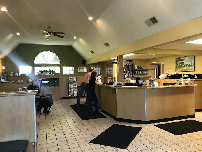 VCA Russell Animal Hospital Picture 6