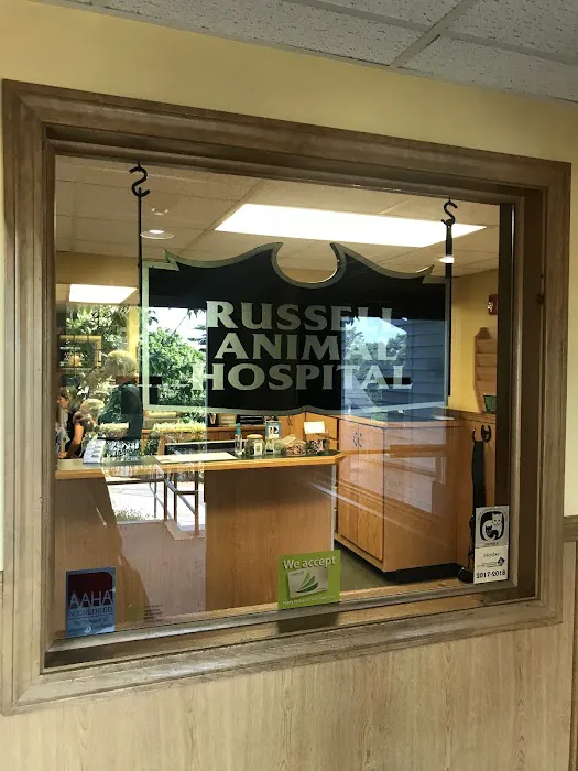 VCA Russell Animal Hospital Picture 9