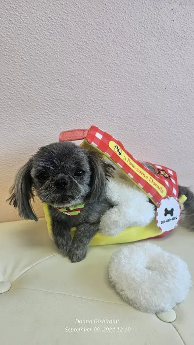 Dis-and-Bark Picture 4